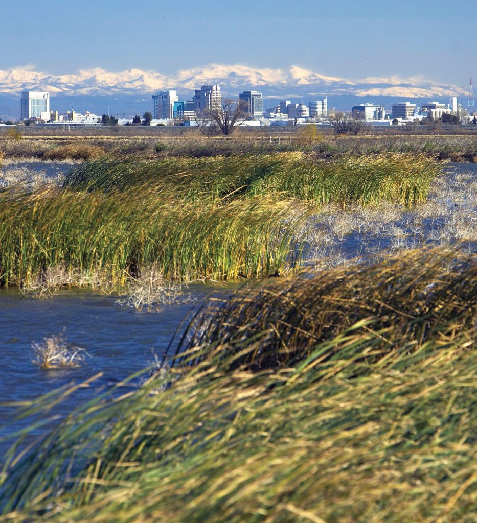 CVFPB to Adopt the 2017 Update to the Central Valley Flood Protection ...