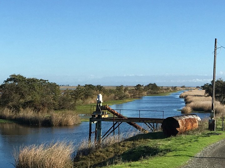 Public Comment Opens For Delta’s Largest Tidal Habitat Restoration ...